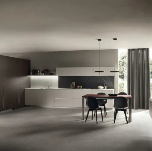 Cucina Moderna DeLinea in laccato Grigio Chiaro e Rovere Grafite di Scavolini